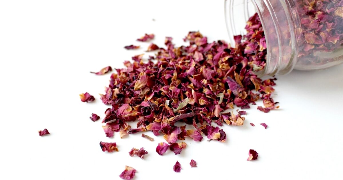 Fleurs séchées versées d'un bocal en verre hermétique, illustration de la conservation des fleurs de CBD